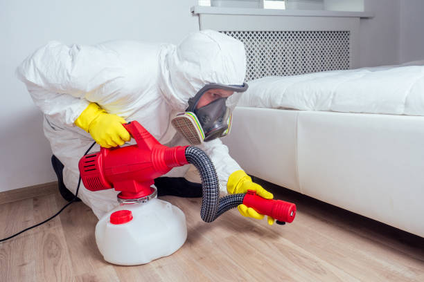 Best Residential Pest Control  in Birch Run, MI